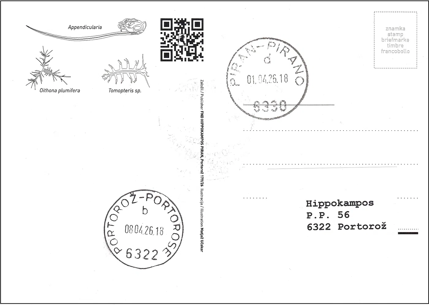 SLOVENSKO MORJE - ZOOPLANKTON